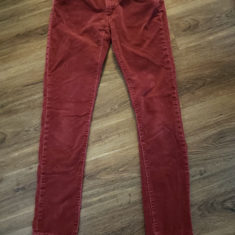 Woman’s Patagonia Organic Cotton Rust Skinny Pants Size 26  Actual 30 X 29 1/2"